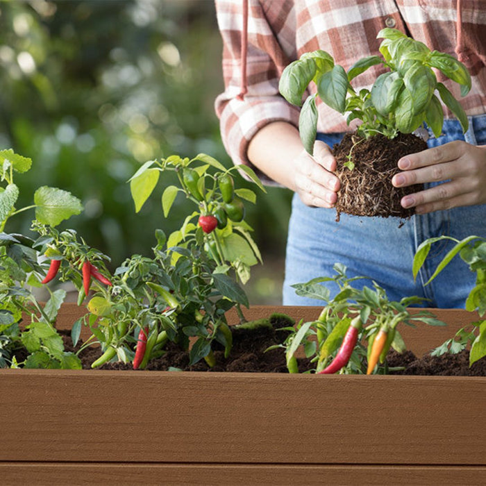 Darwin Raised Planter Garden Bed Ashwood